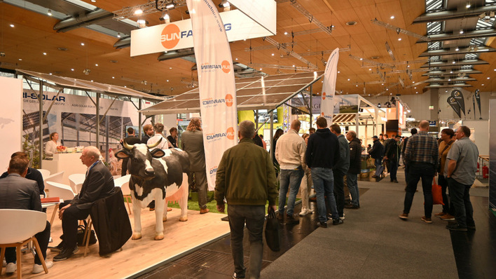 Solar, storage and a bovine presence – Energy Decentral in session