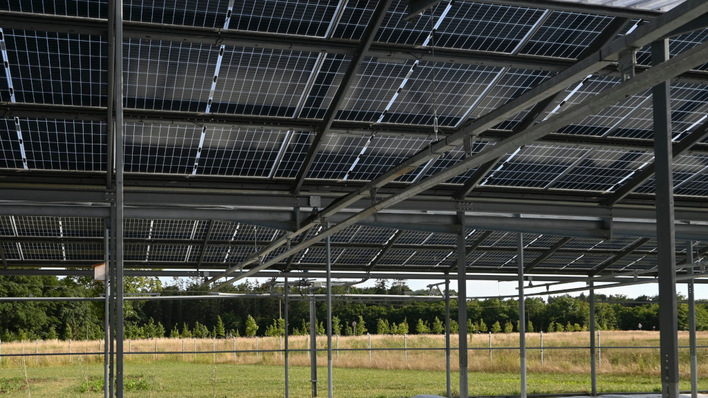 Tall pile-driven supports carry the modules well clear of the working area