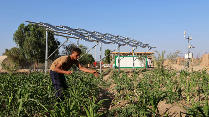 With the project in Egypt, the partners aim to improve farming in arid desert regions while producing clean electricity at the same time.