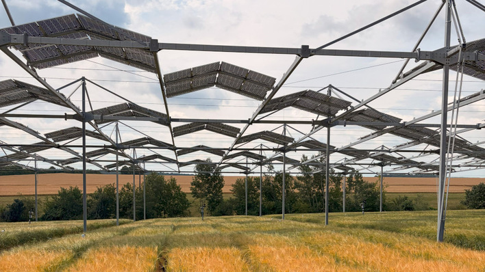 Shadowplay across the field – and crops adapting better than assumed