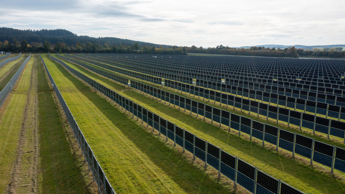 The vertical mounting of bifacial modules means the plant generates almost no midday peak