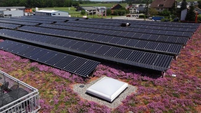 The plants and flowers cultivated tend to be endangered, which helps to protect biodiversity.