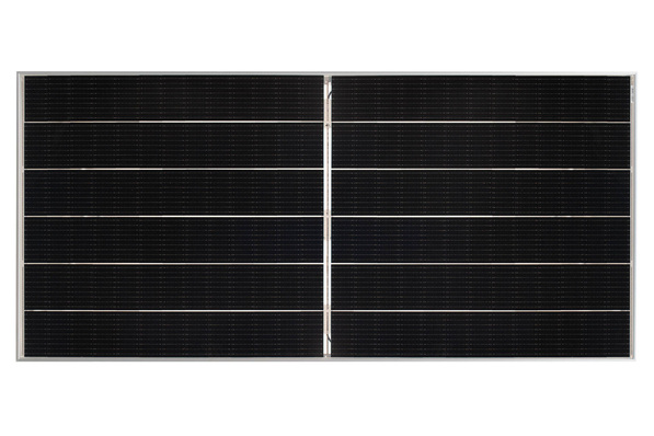 Is it an Eagle? Is it a Cheetah? No, it’s a Tiger!