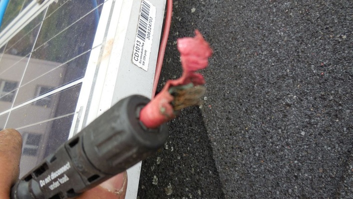 This wire was bitten by a marten.