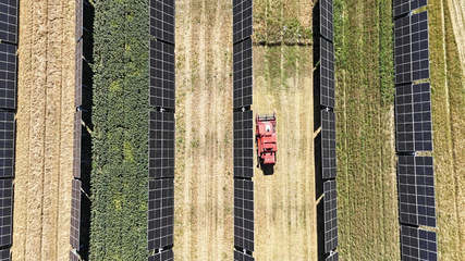 Sun, crops and machinery – the full Sicilian set menu as agri-PV booms in Italy