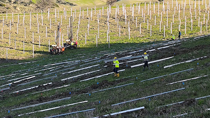 Tricky terrain for trackers – Solargik is presenting its solutions in Rimini from 4 to 6 March