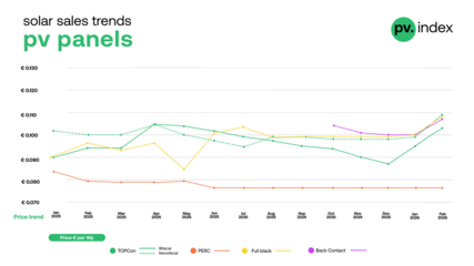 PERC module prices remained stable in February, while prices for other technologies trended upward
