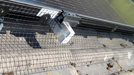 Protection against pesky pigeons with an impenetrable mesh of steel