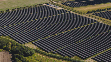 Orderly lines of generation at the solar park in Lolland