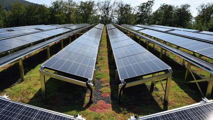 Straight talk: solar green roofs are the future of rooftop real estate