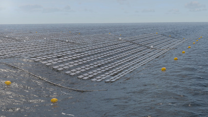 Floating solar finds its sea legs – BRIZO's rope-mesh array rides the swell